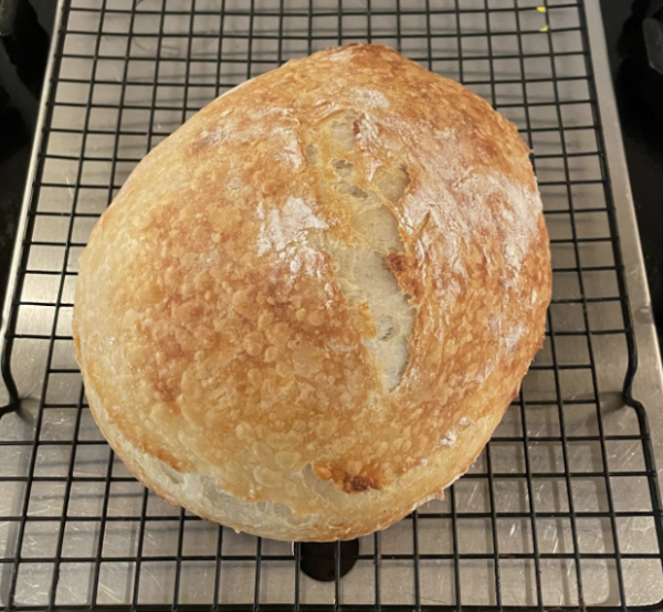 My first loaf of sourdough bread.
